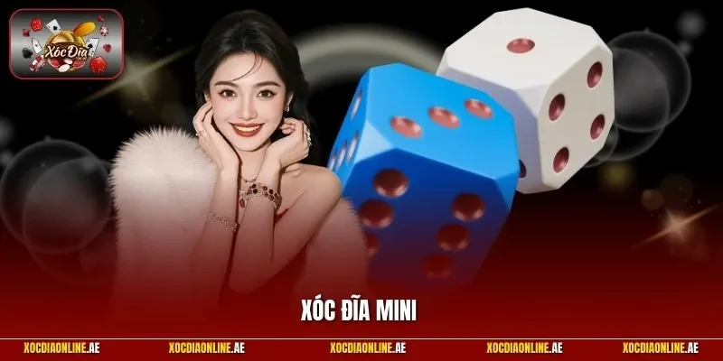 Xóc đĩa mini